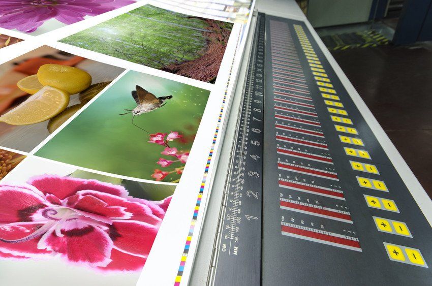 A uncut flat sheet on a litho printing press