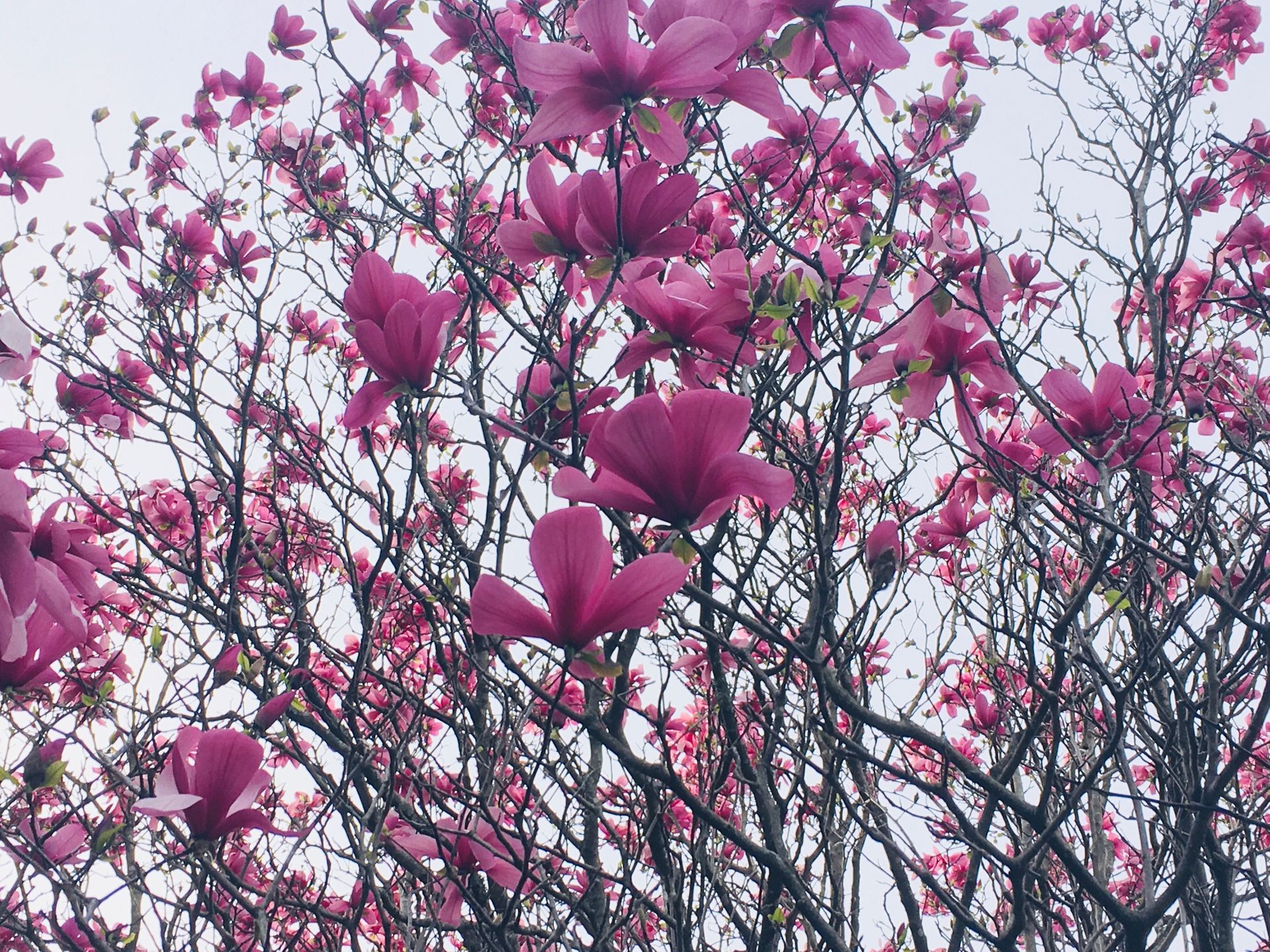 allie vance photography