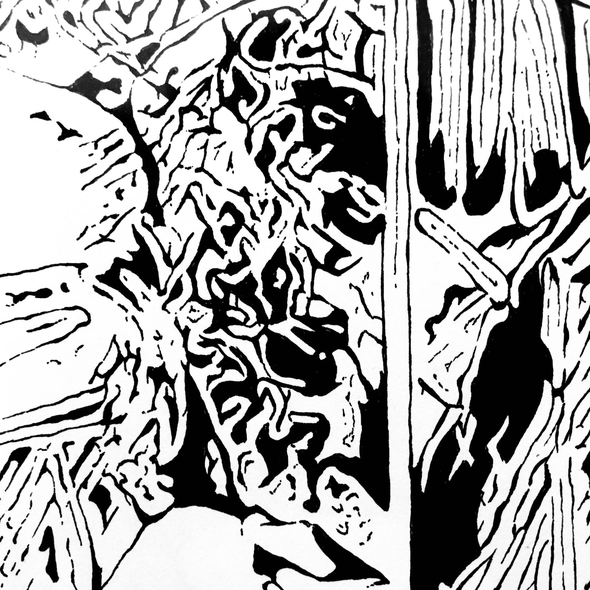 illustration
