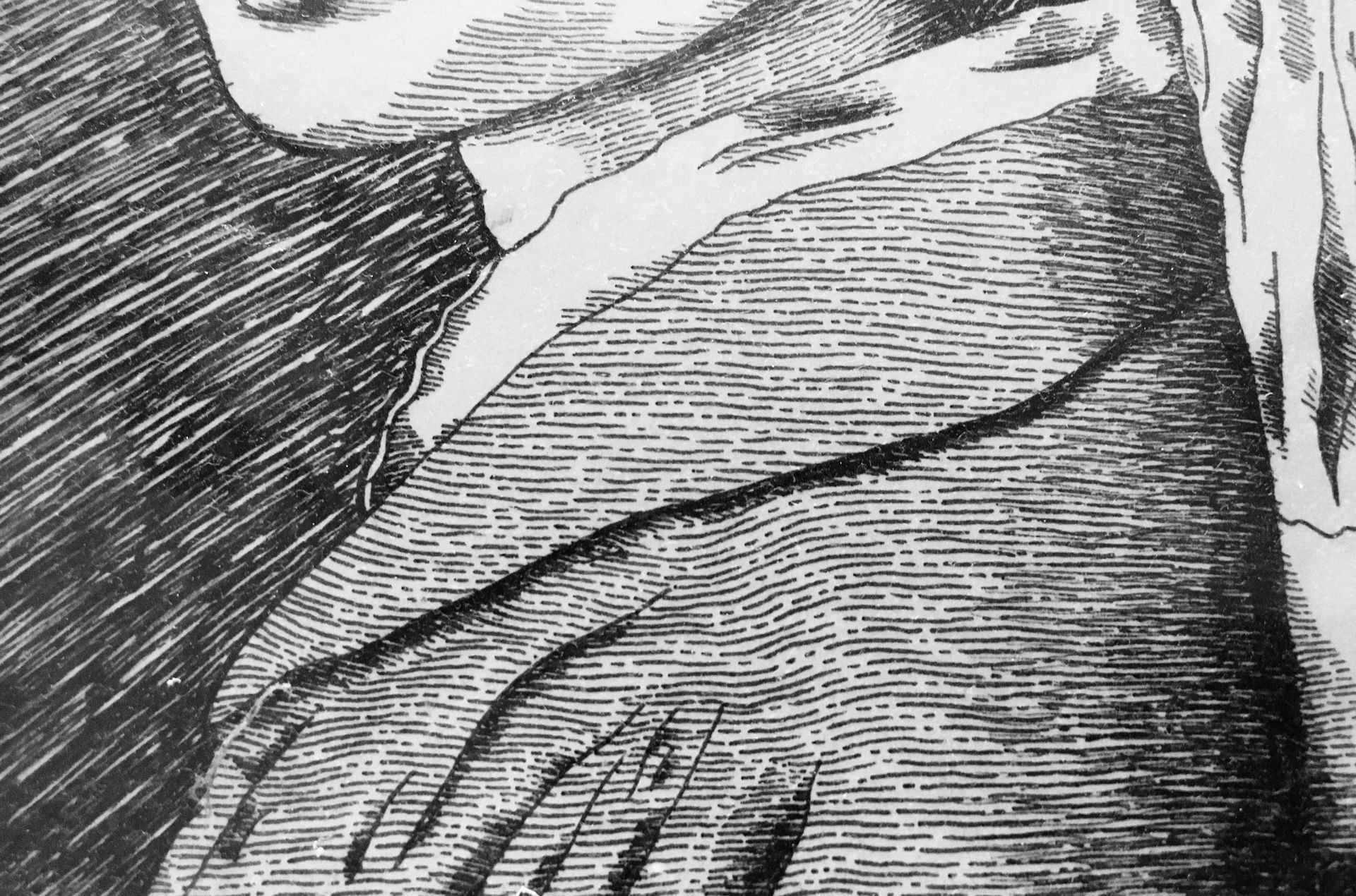 illustration