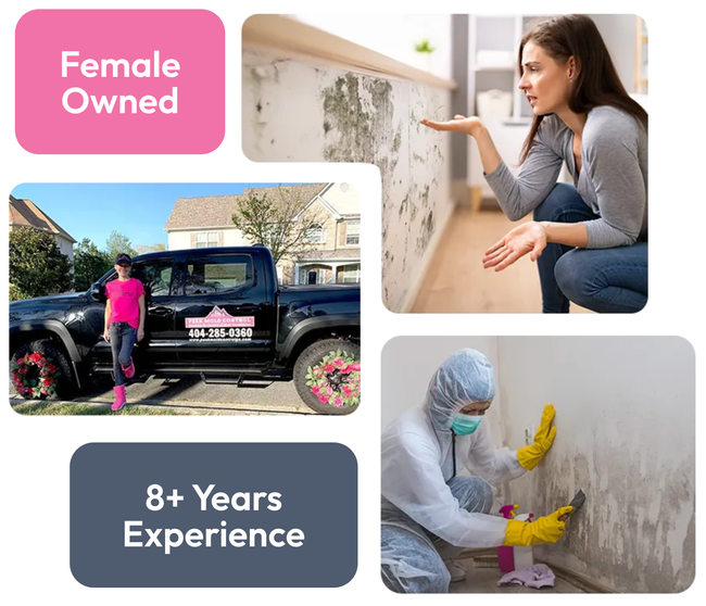 A female owned company has 8+ years of experience.