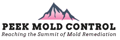 The logo for peek mold control reaching the summit of mold remediation