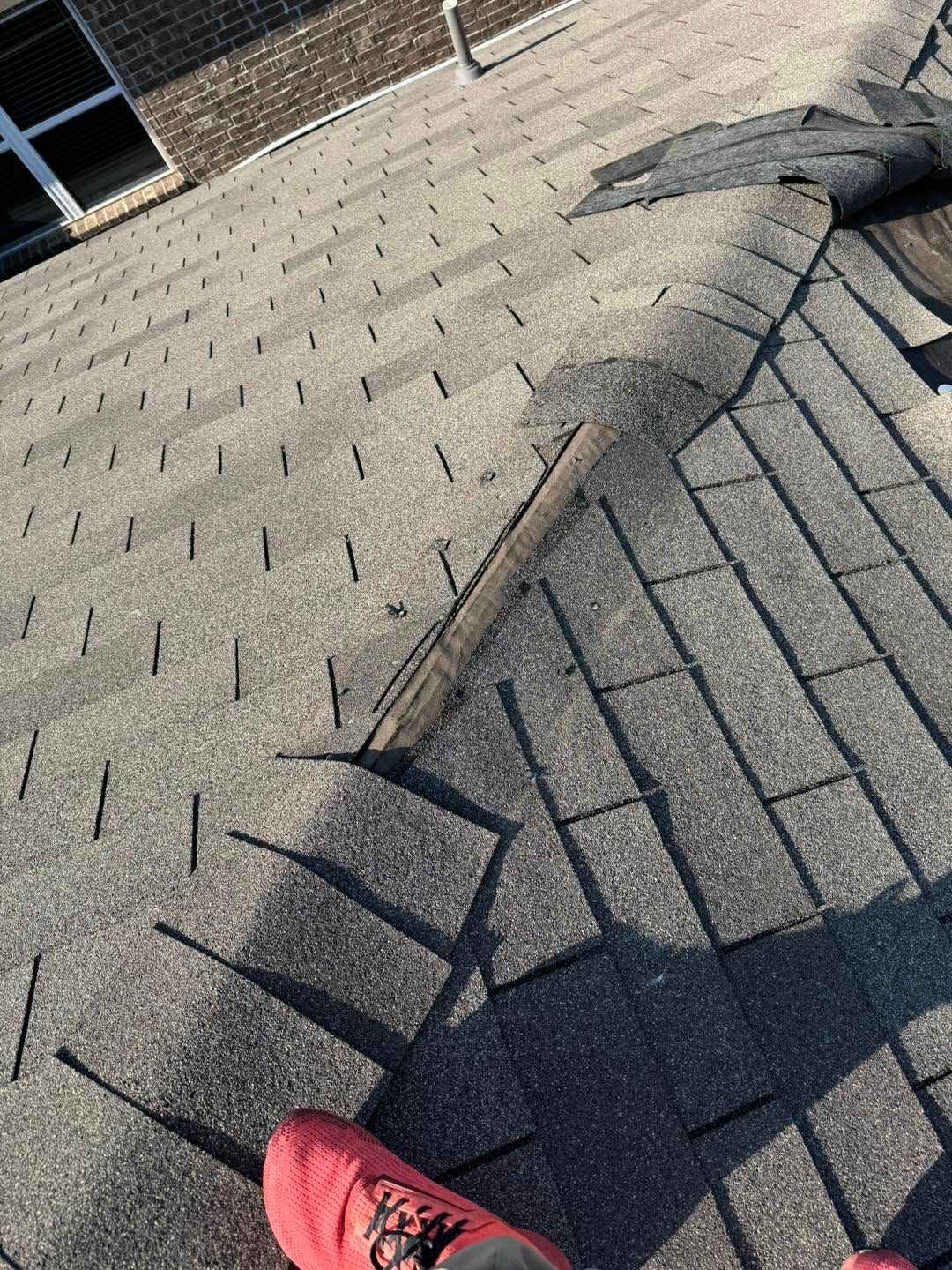 Close-up of a shingled roof with a peeled-back section and a red shoe visible at the bottom edge