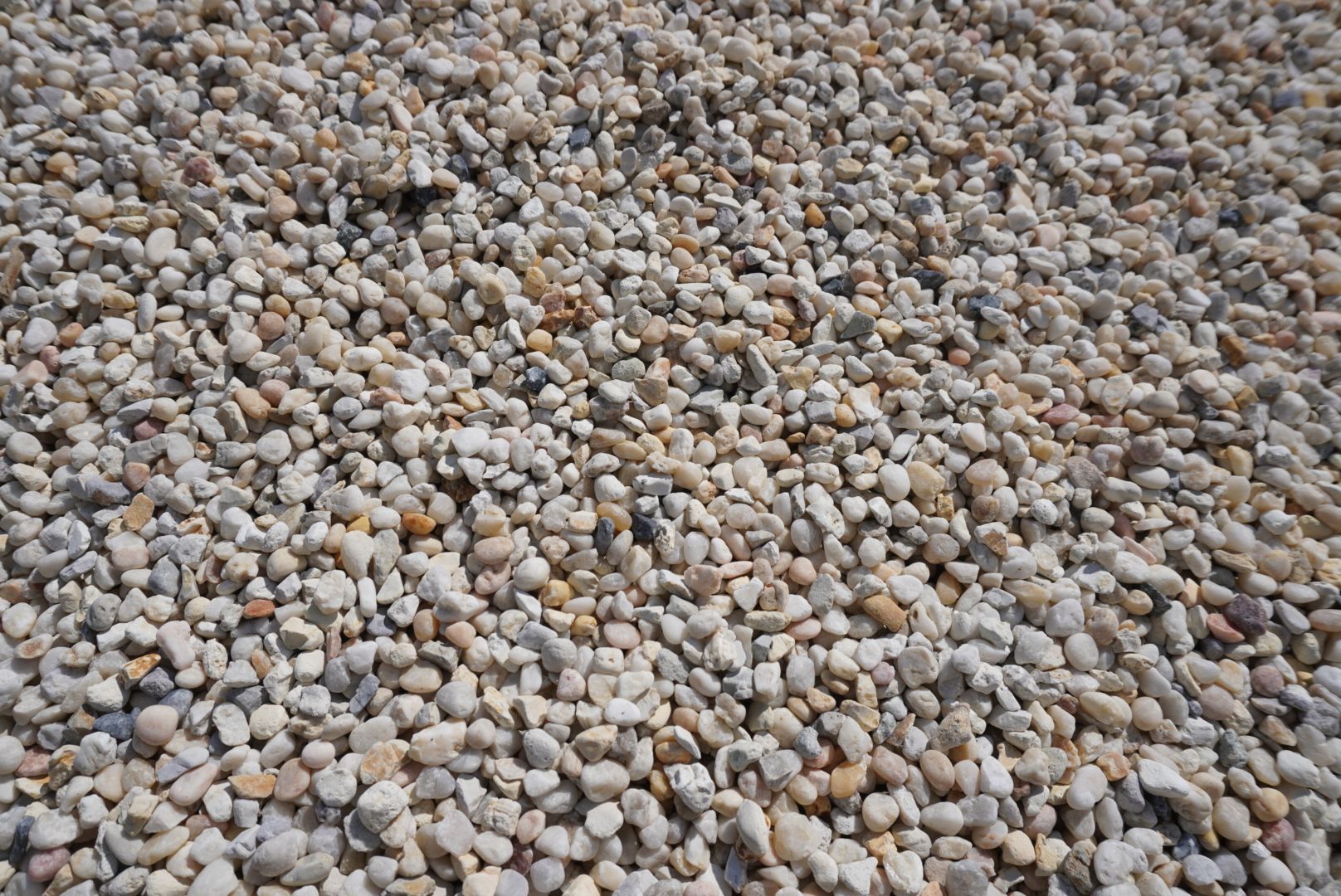 Close-up of a ground covered in small gray and tan pebbles.
