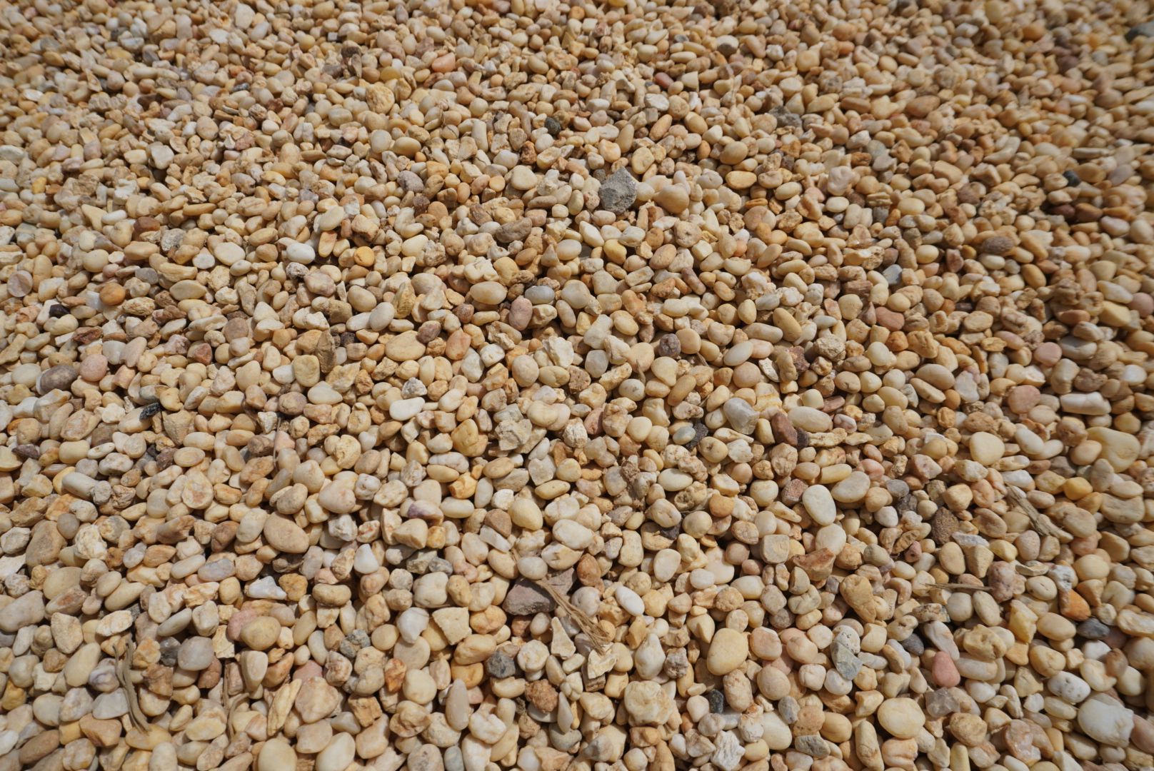 Close-up of a ground covered in small tan and gray pebbles