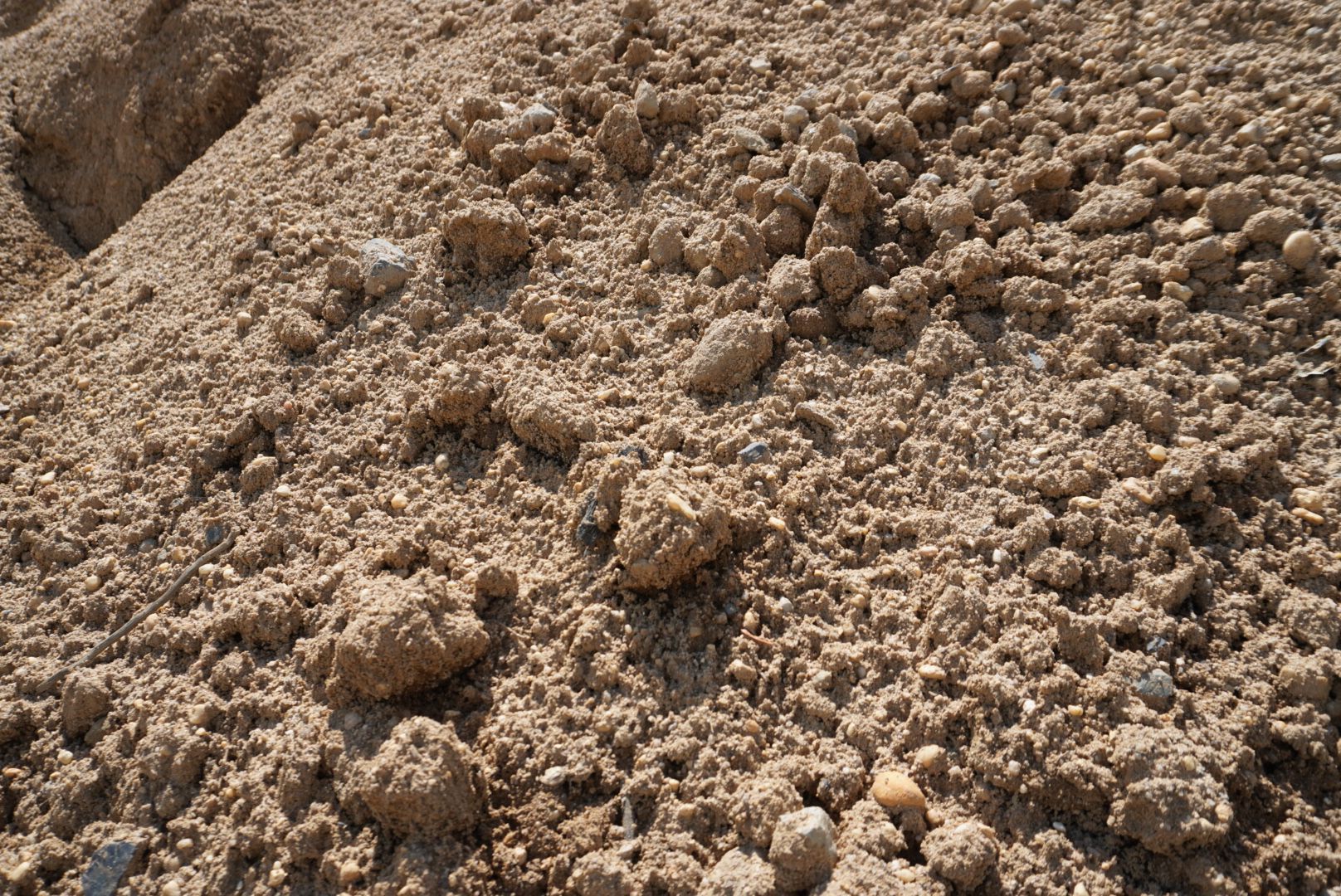 Close-up of a sandy dirt pile with rough, uneven texture and small clumps