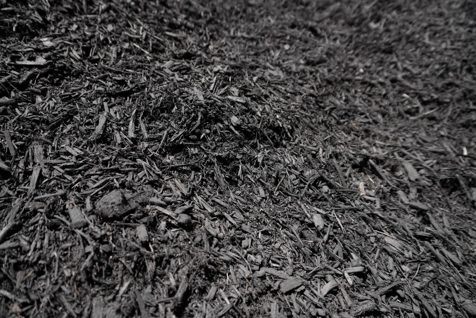 Close-up of dark shredded mulch covering the ground