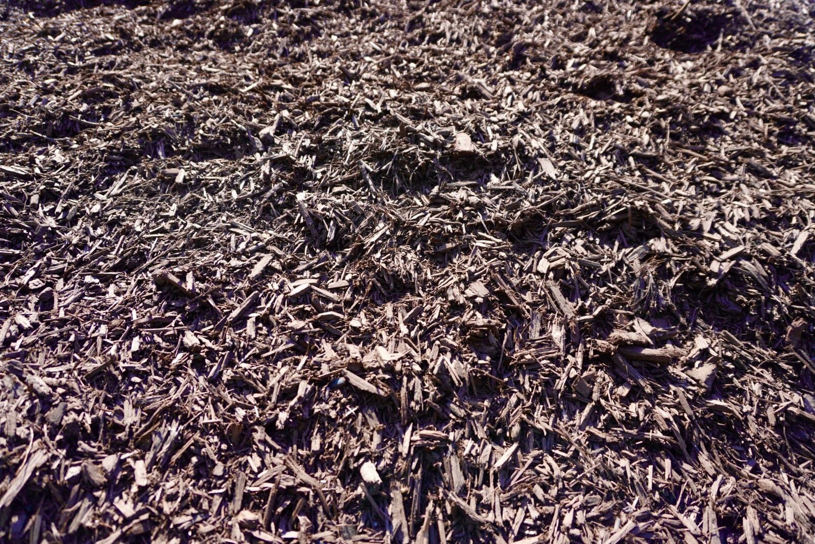 Close-up of a ground covered with brown wood mulch and bark chips.