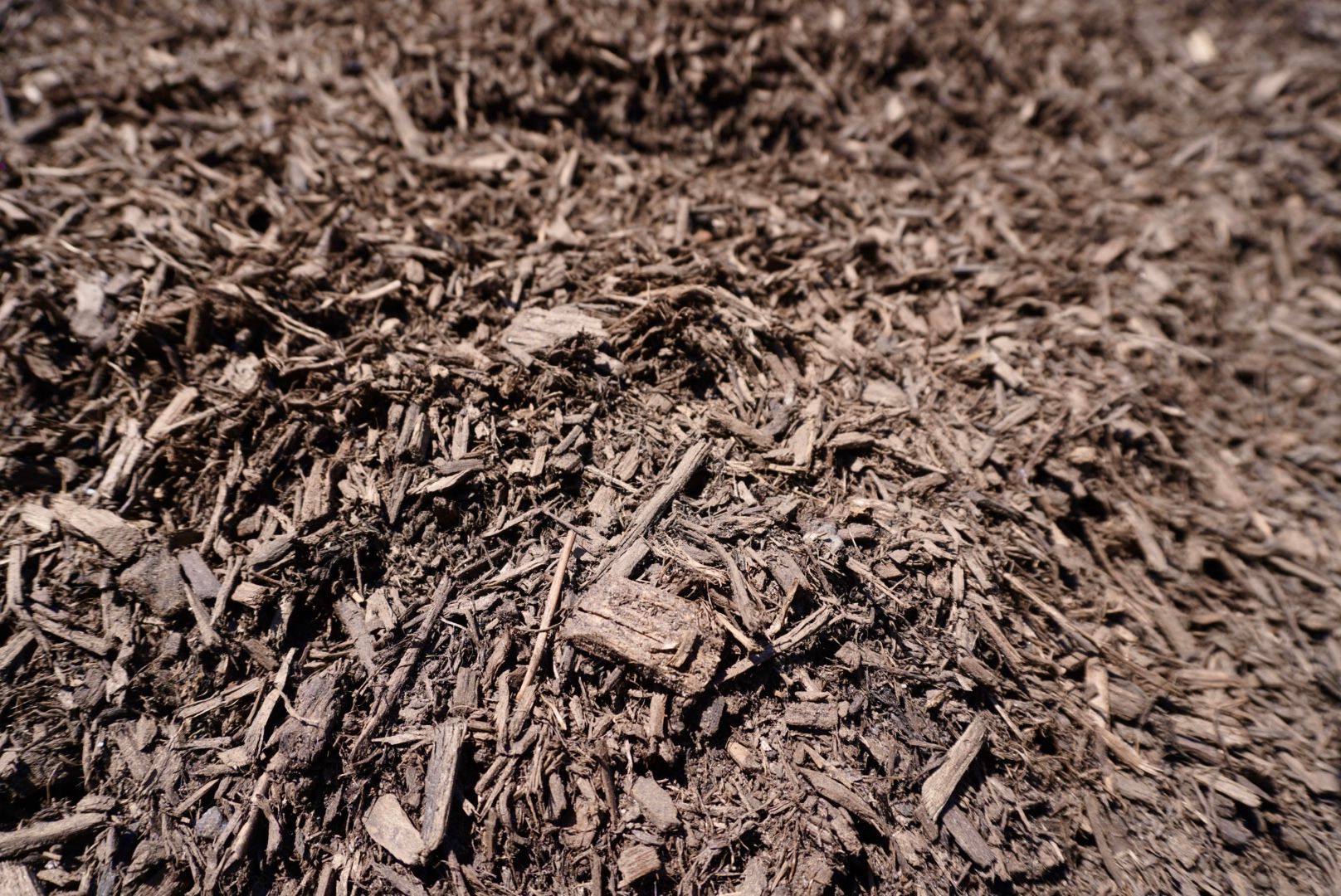 Close-up of brown mulch wood chips piled on the ground