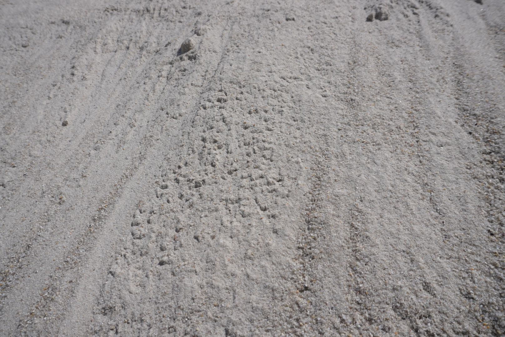 Pile of pale gravel with tire tracks and a small dark object on top