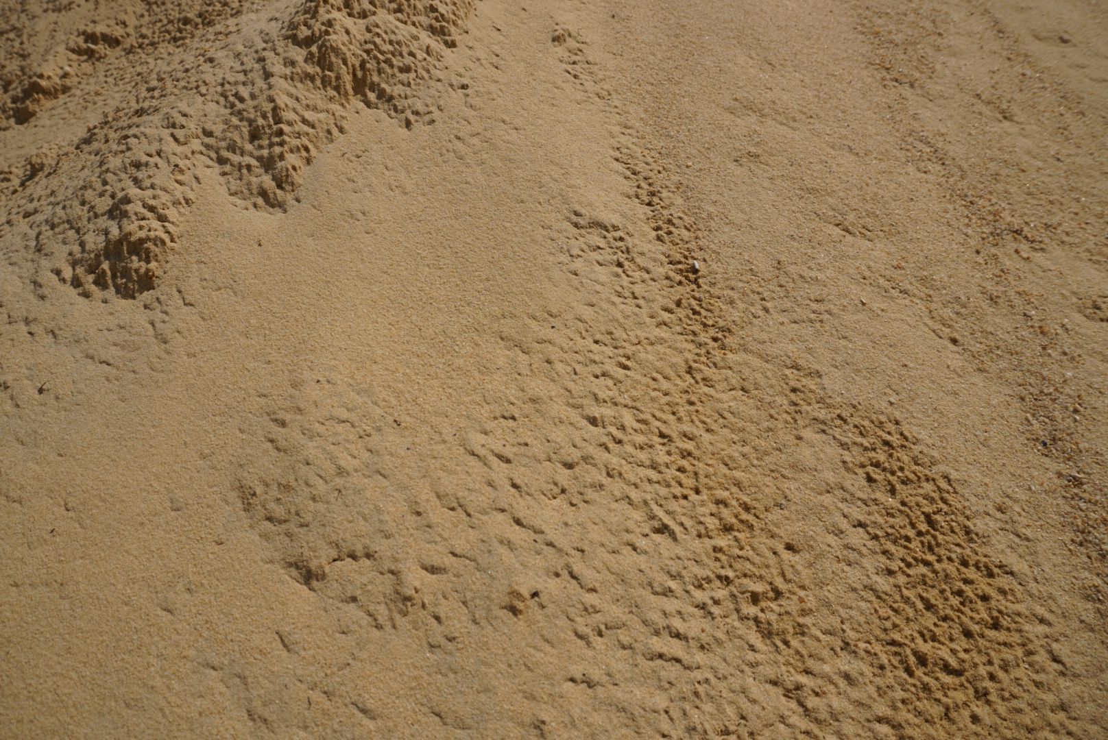 Close-up of a mound of light tan sand with uneven texture and small shadows