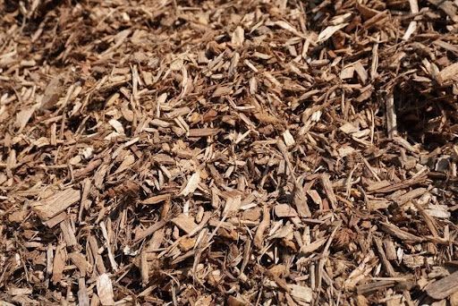 Close-up of brown wood mulch chips covering the ground.