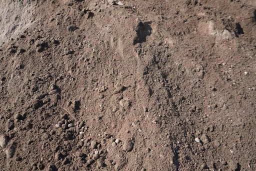 Dry, rocky soil with scattered small stones and a dark footprint-like mark.