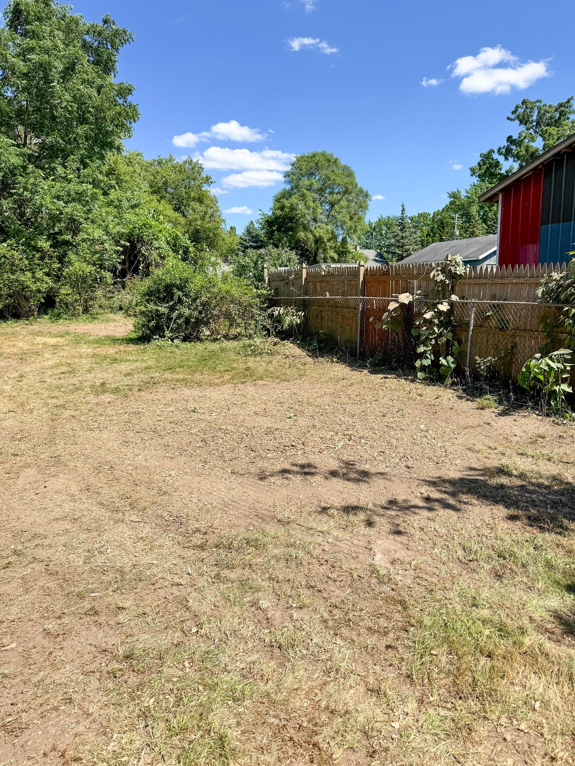 Dry, grassy yard with wooden fence, trees, and blue sky.