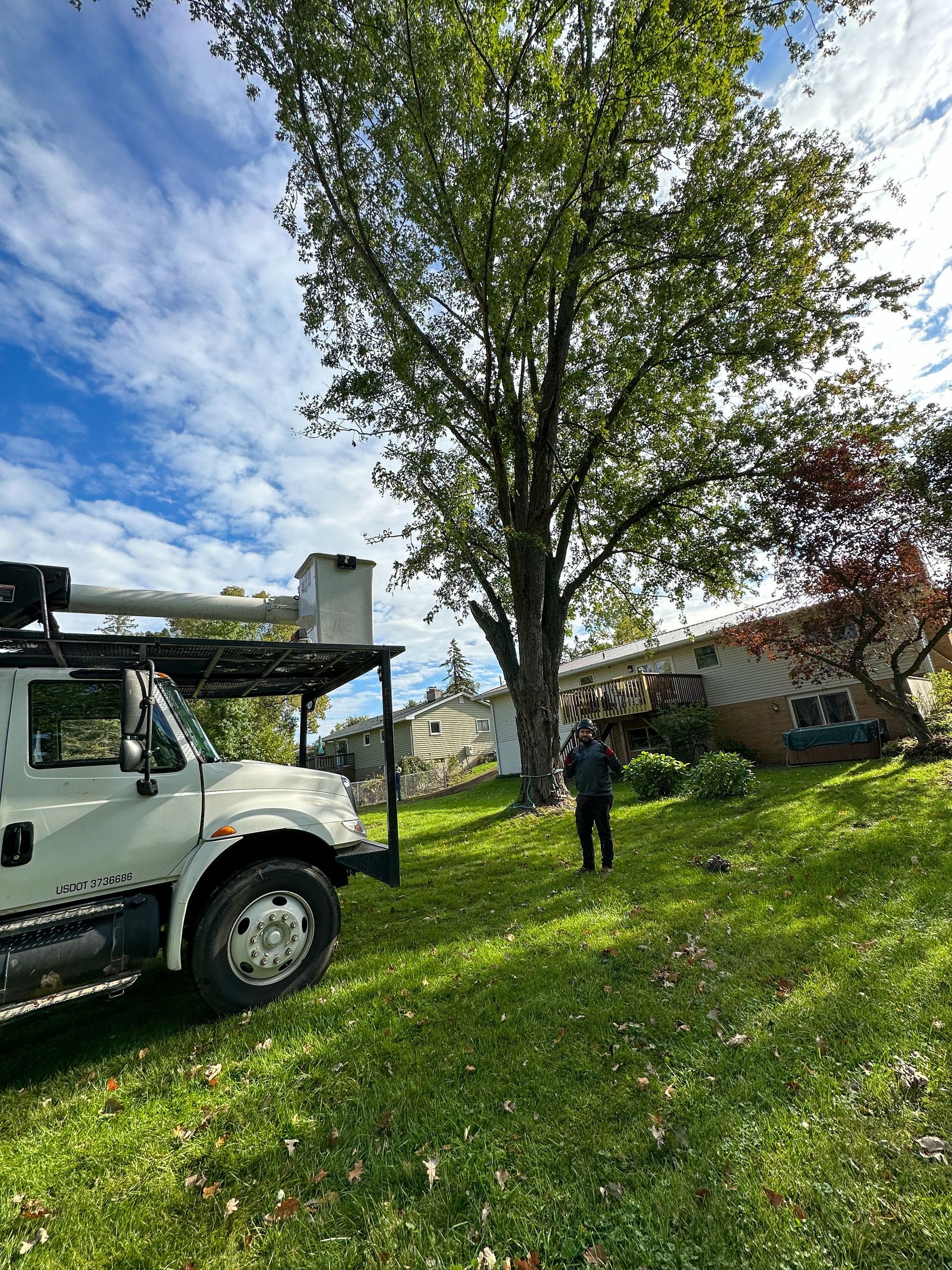 White truck parked on a grassy lawn, person standing, tall tree, cloudy sky, house in background.