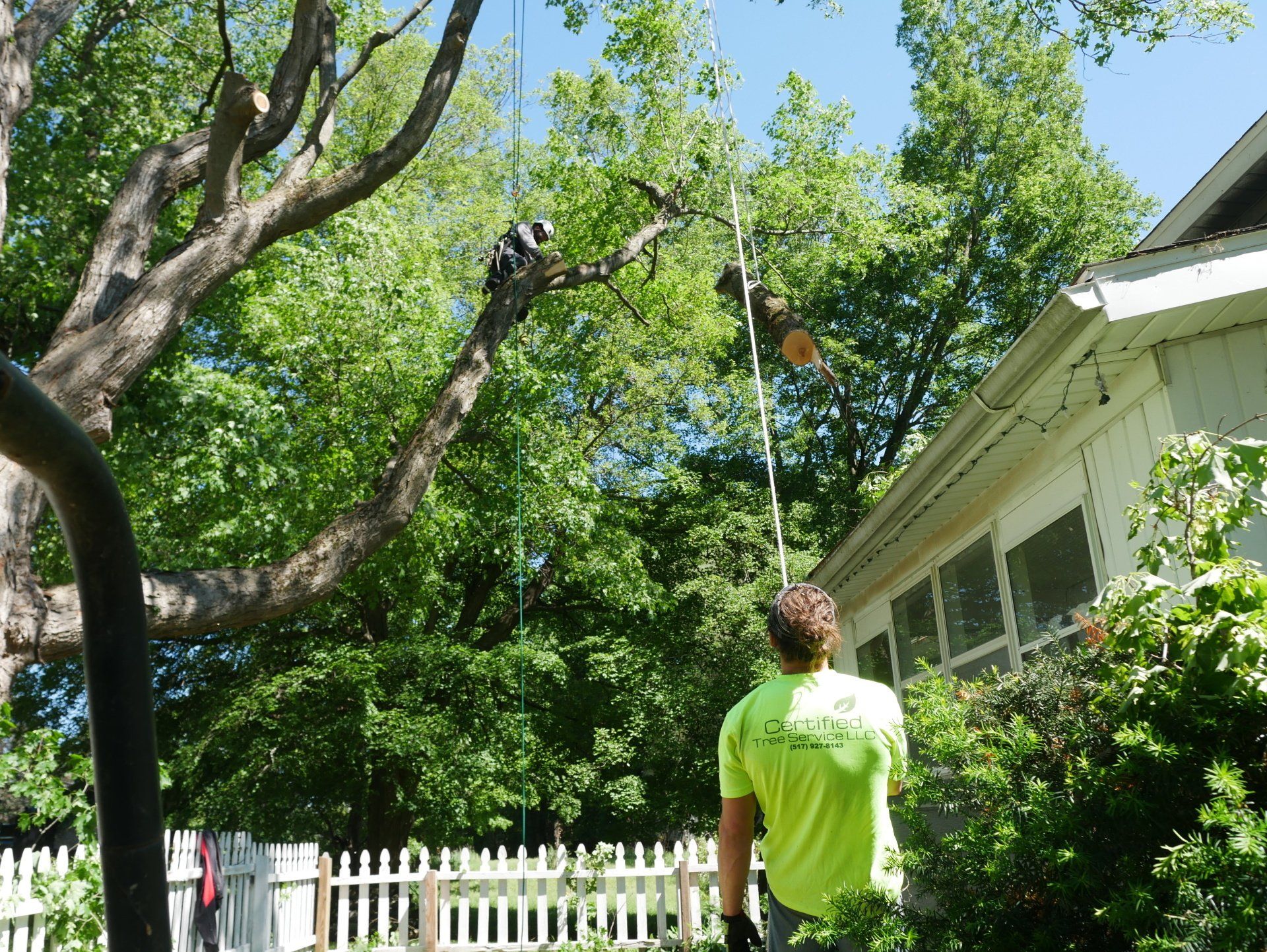 A man in a green shirt is standing in front of a house looking up at a tree.