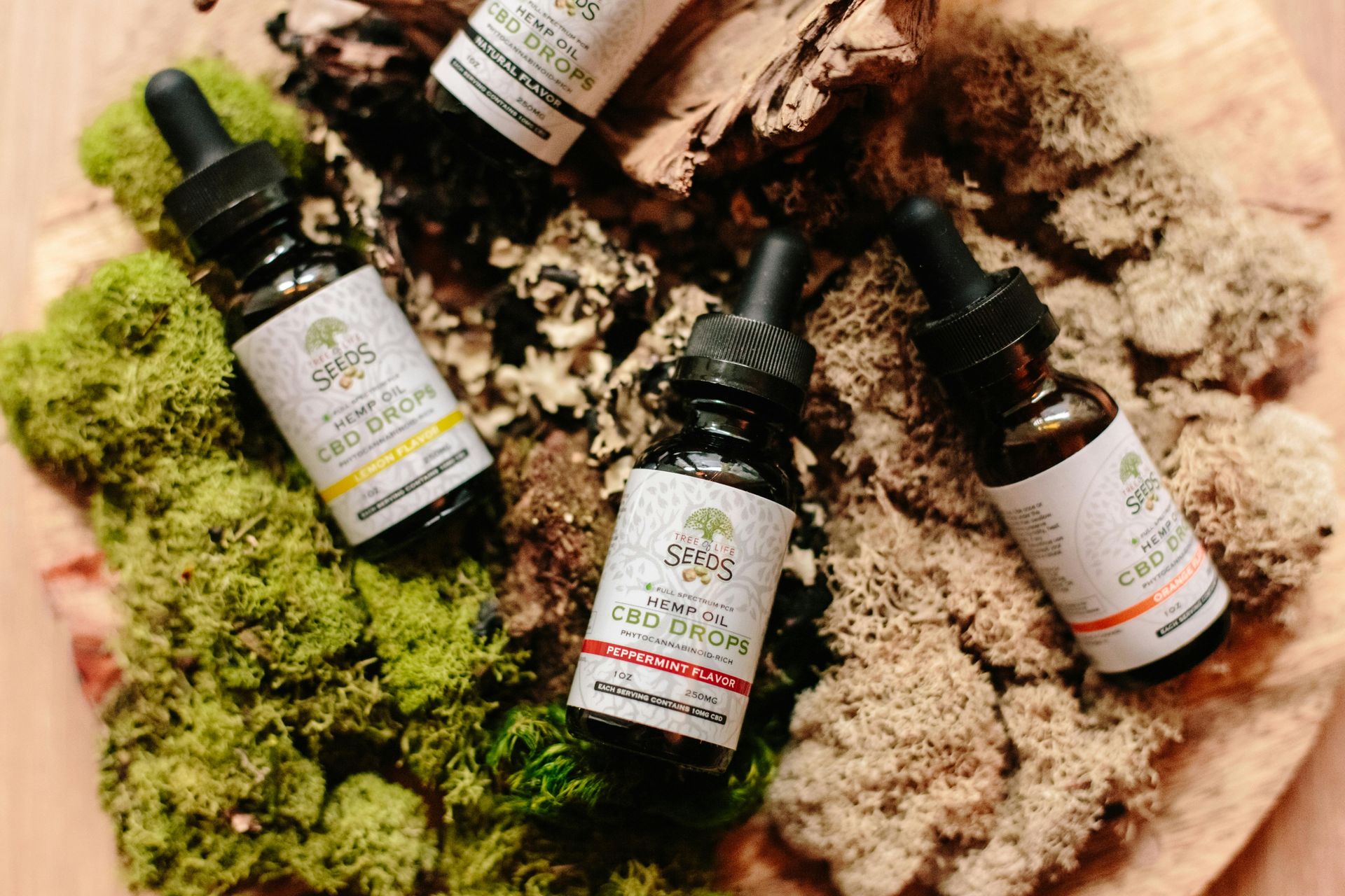 Bottles of CBD oil with droppers atop colorful moss and wood.