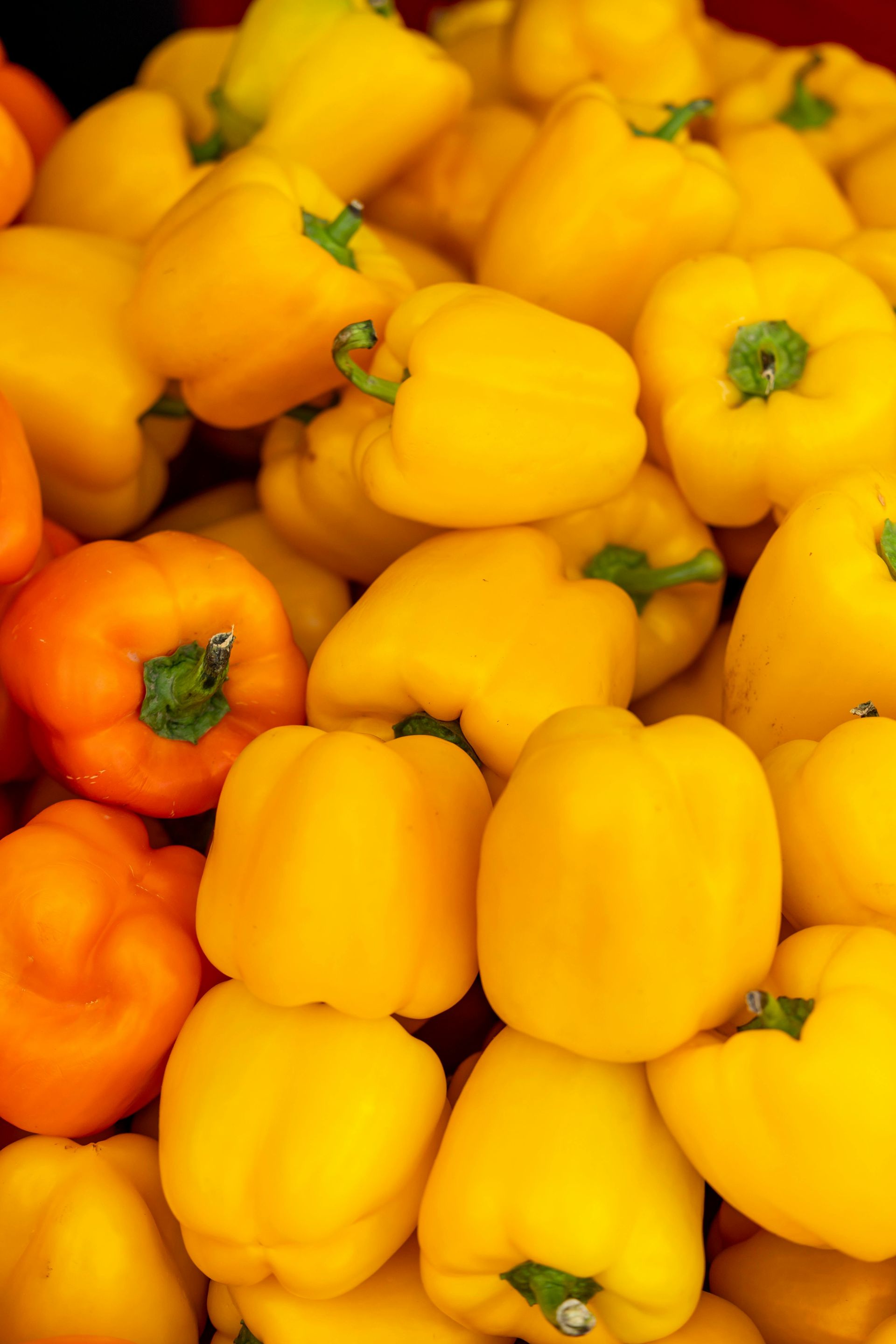 Pile of yellow and orange bell peppers, close-up view.