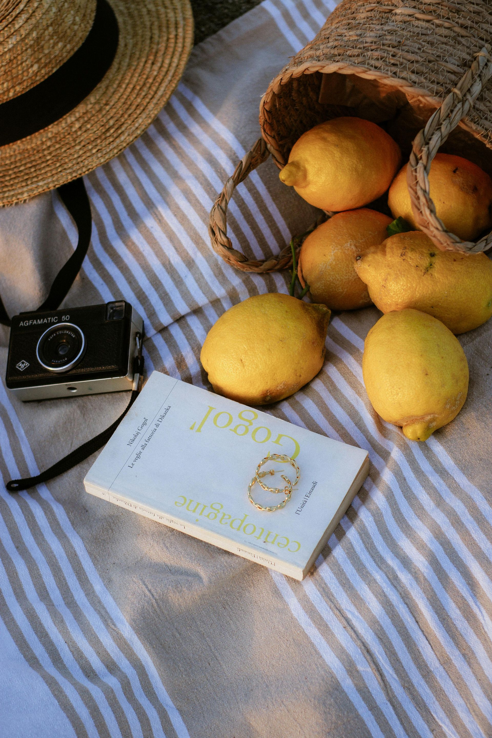 Picnic scene: lemons spilling from a woven bag onto a striped blanket beside a straw hat, a camera, and a book.