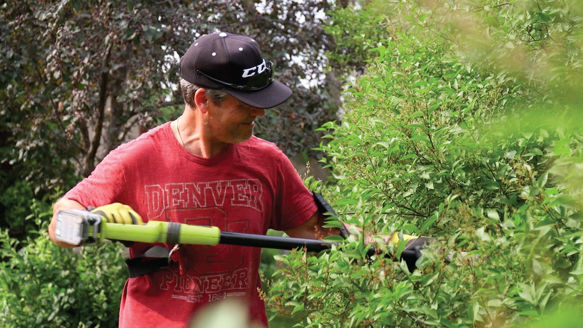 A man in a denver shirt is cutting a bush with a pair of scissors.