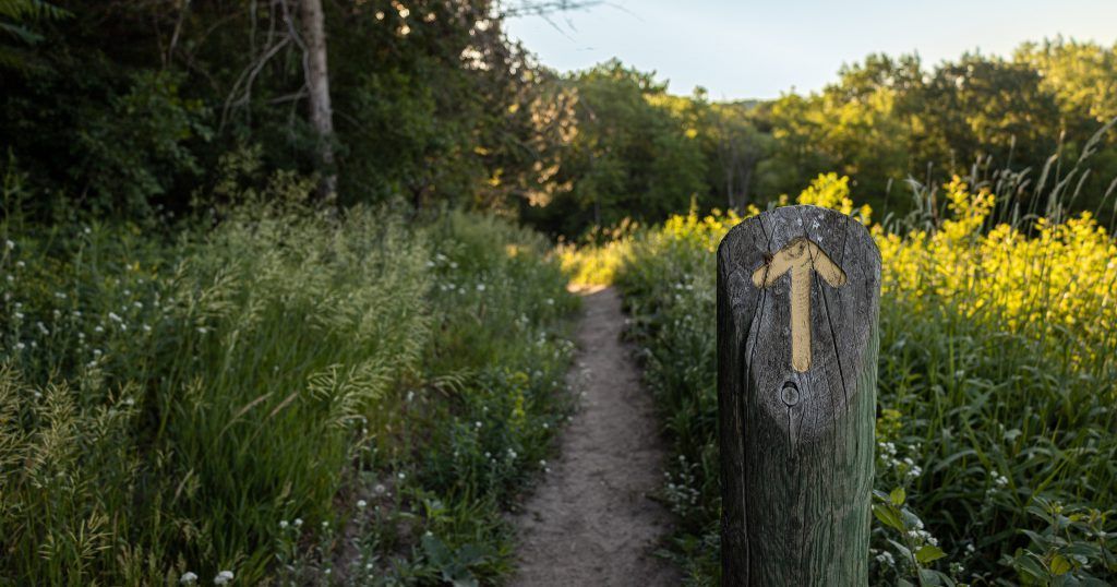 A wooden post with an arrow painted on it points the way to a path in the woods.