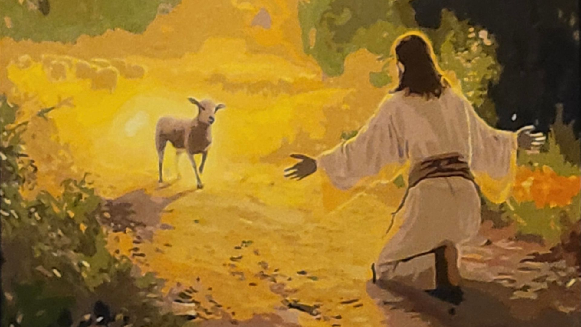 A figure in white robes kneels with arms outstretched toward a small lamb in a bright, golden-lit outdoor setting.