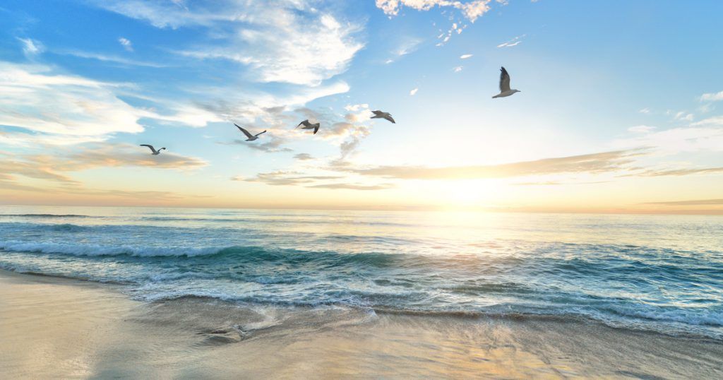 A flock of birds flying over a beach at sunset.