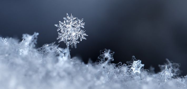 A snowflake is growing out of a pile of snow.