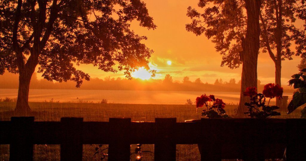 A sunset over a field with trees and a fence in the foreground.