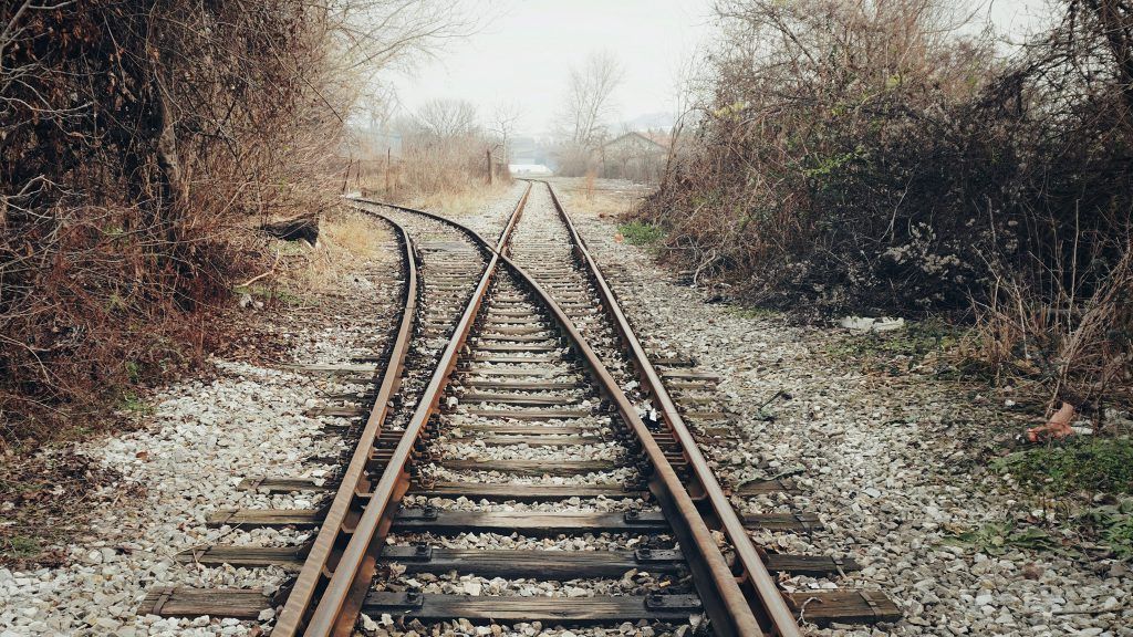 A train track that is going through a forest.