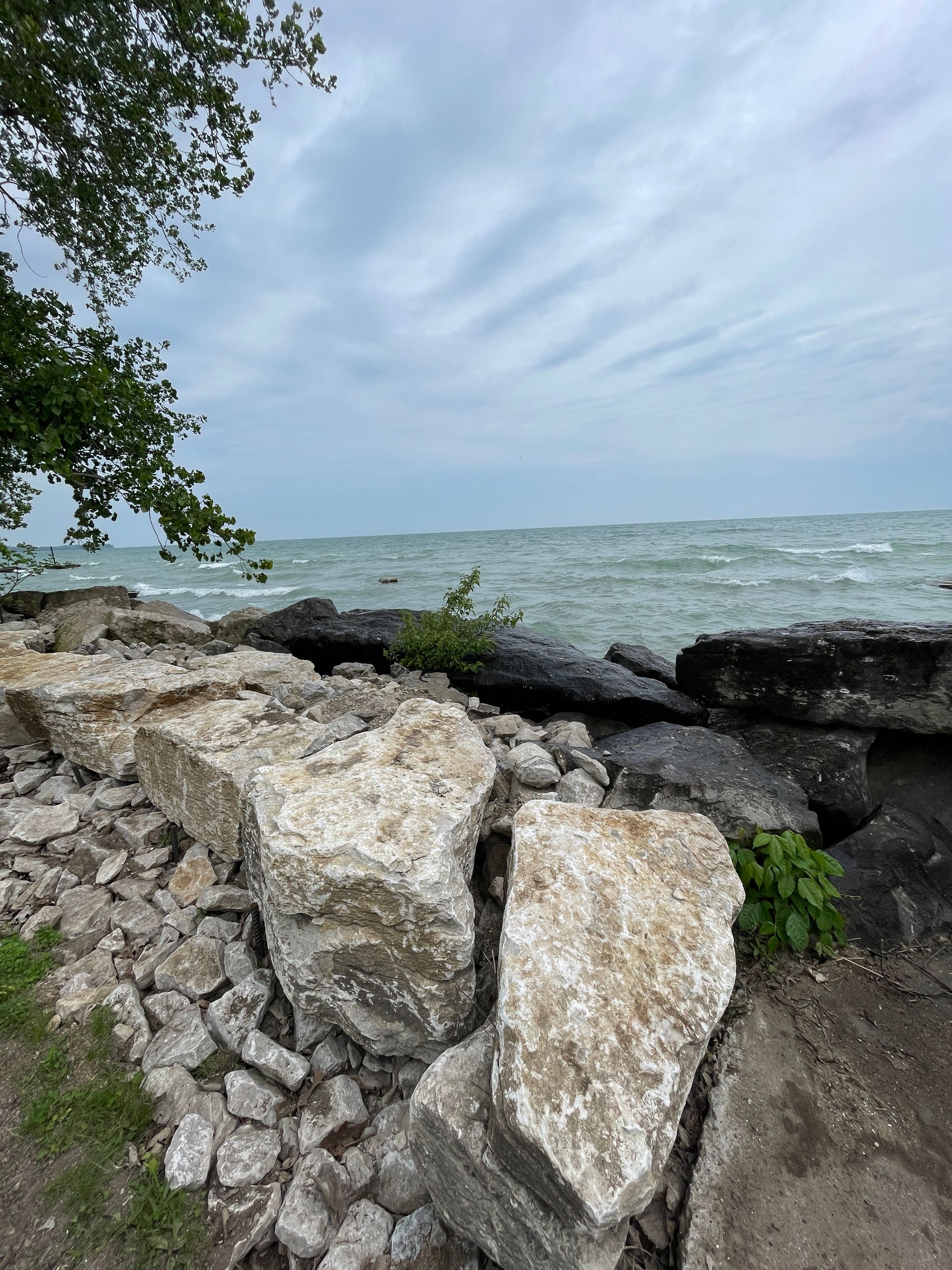 shoreline protection