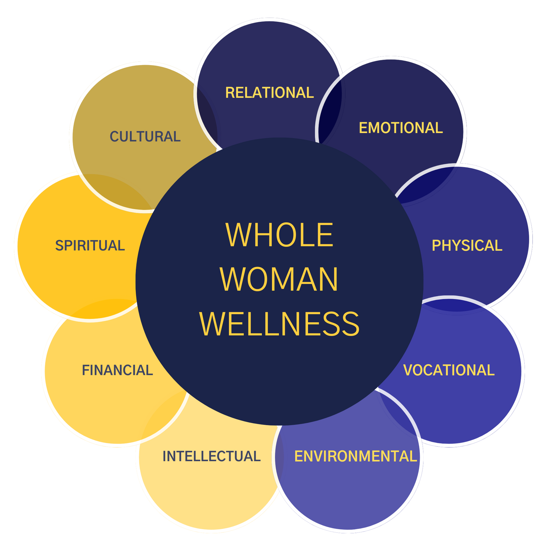 A diagram showing the different types of whole woman wellness