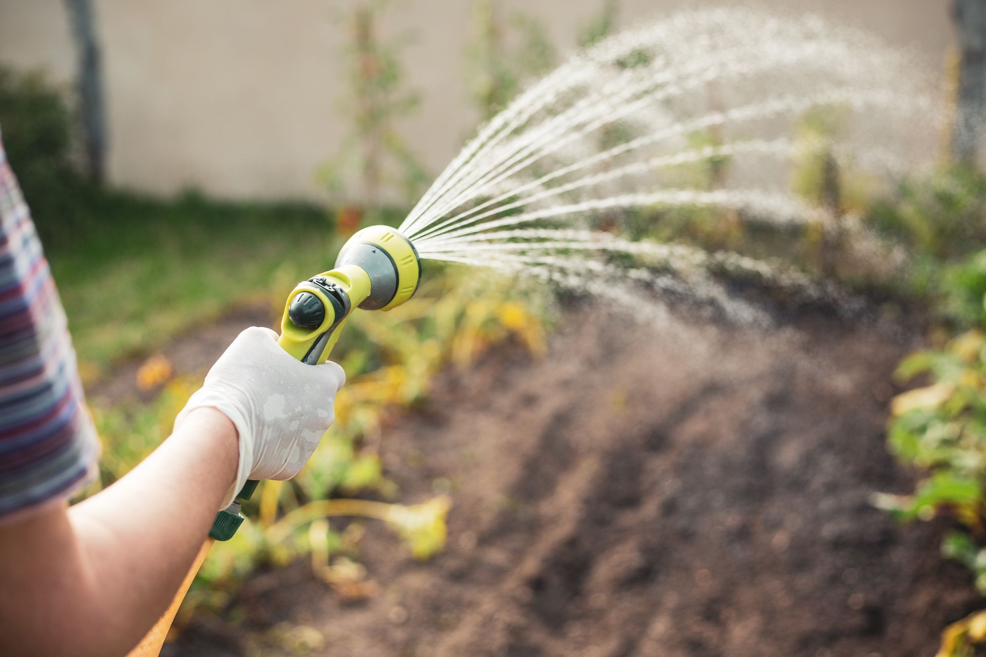 A woman's gloved hand watering plants in her garden.