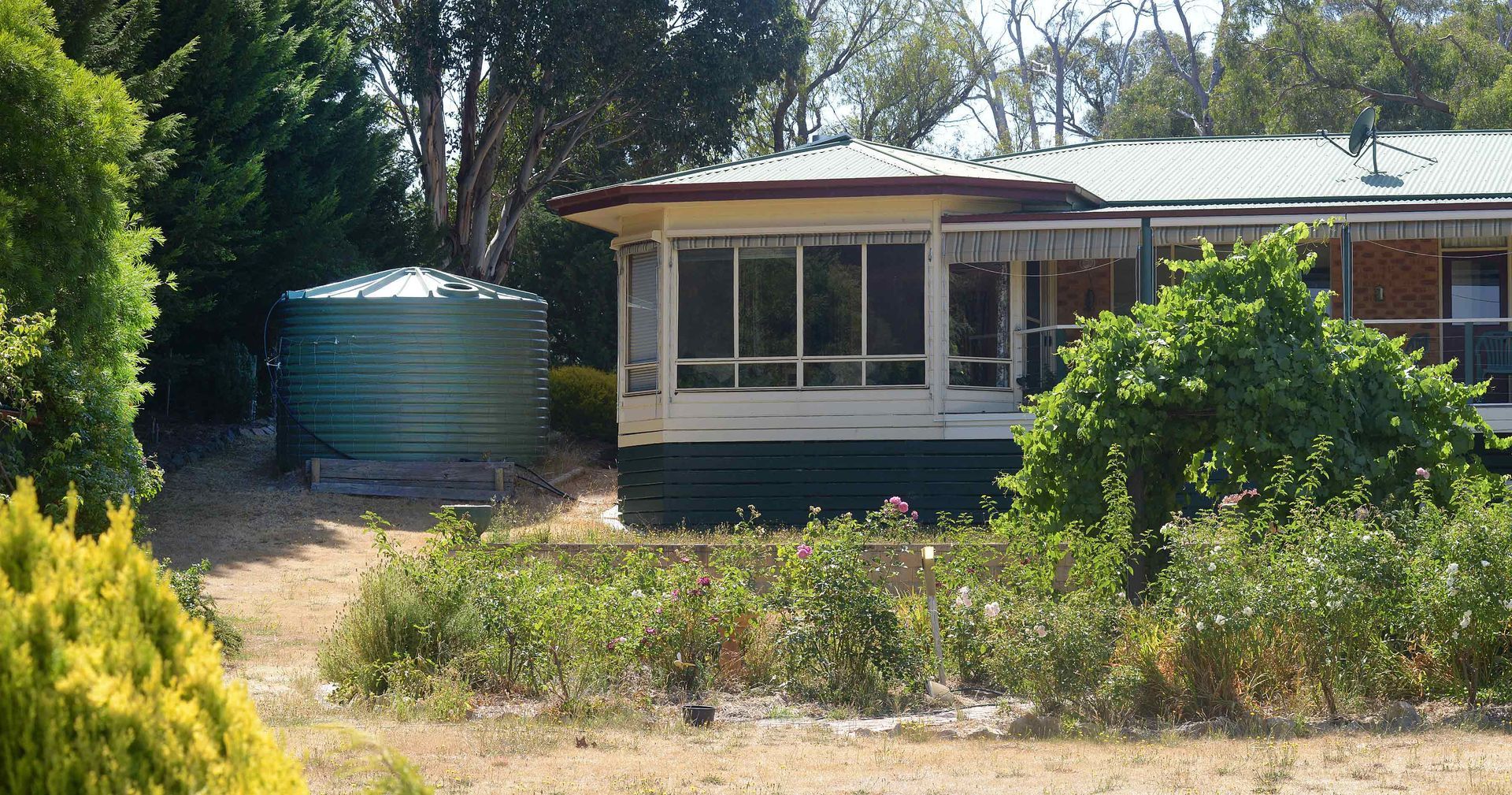 A green water tank in a residential setting. A green water tank in a residential setting.