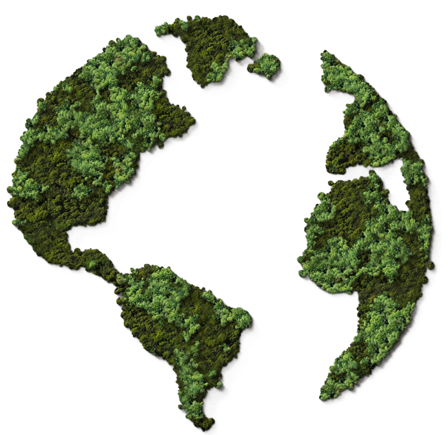 Green moss-like continents forming a stylized world map on a white background