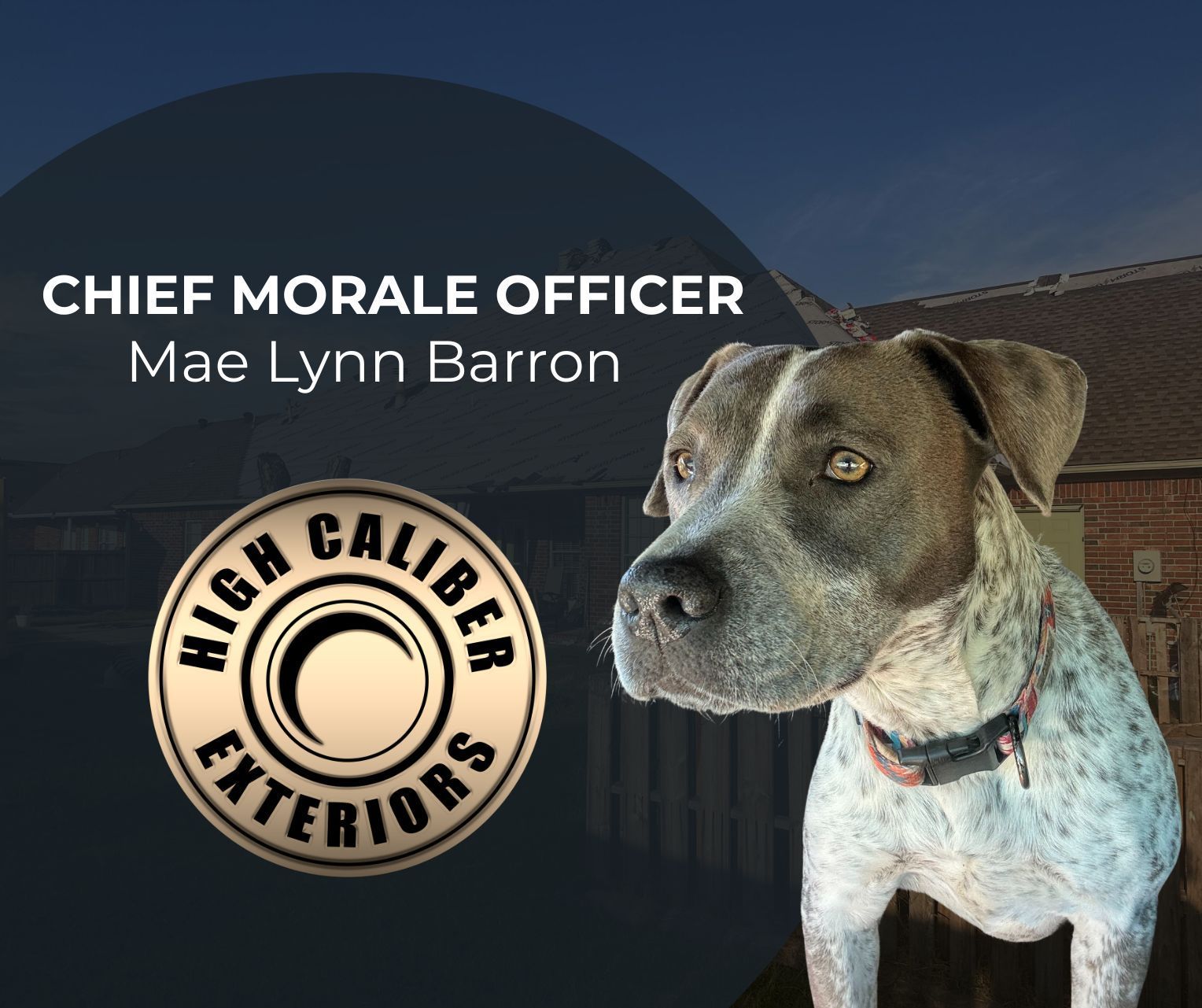 Blue-speckled dog beside “Chief Morale Officer Mae Lynn Barron” and High Caliber Exteriors logo.