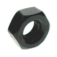 photo of grade 12 full nut
