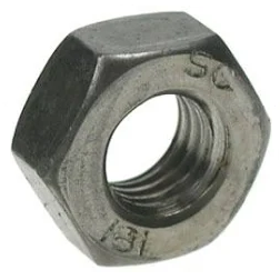 left hand nut photo
