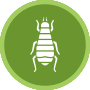 FUMIGACIONES ESPECIALES CONTROL