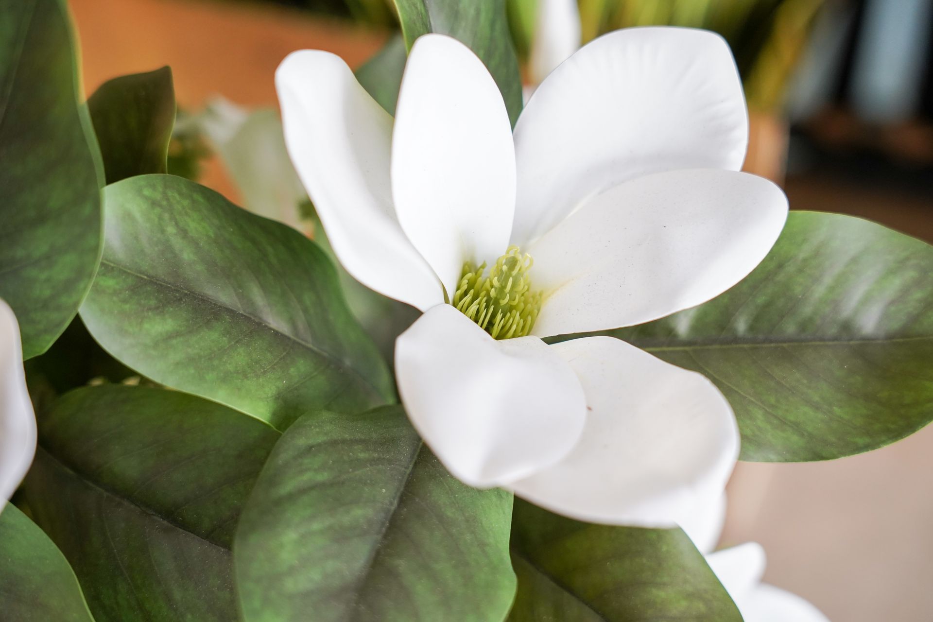 Tulipani gialli e bianchi disposti in un vaso grigio dalla texture particolare su sfondo bianco.