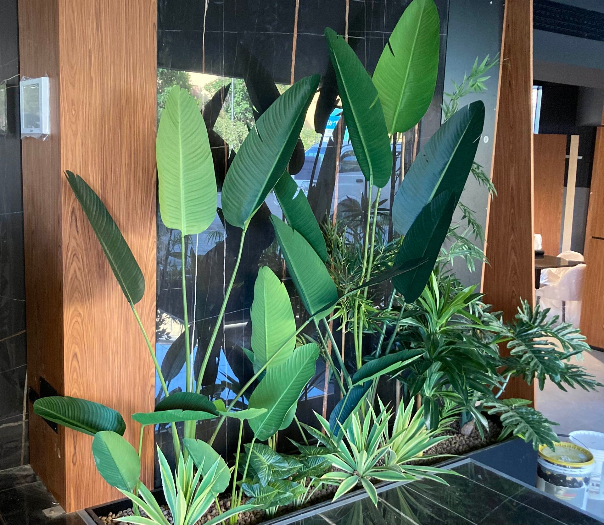 Piante tropicali da interno con alte foglie verdi accanto a una porta e una finestra di legno.