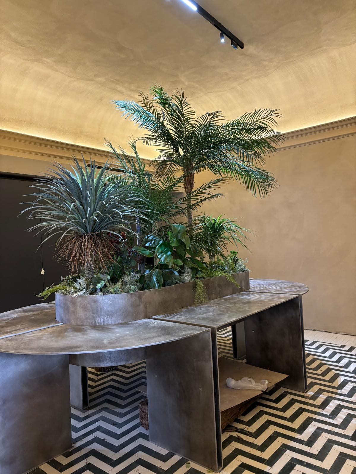 Fioriera da interno con alte piante tropicali sopra un tavolo di cemento in una stanza beige con pavimento a piastrelle a zig-zag.