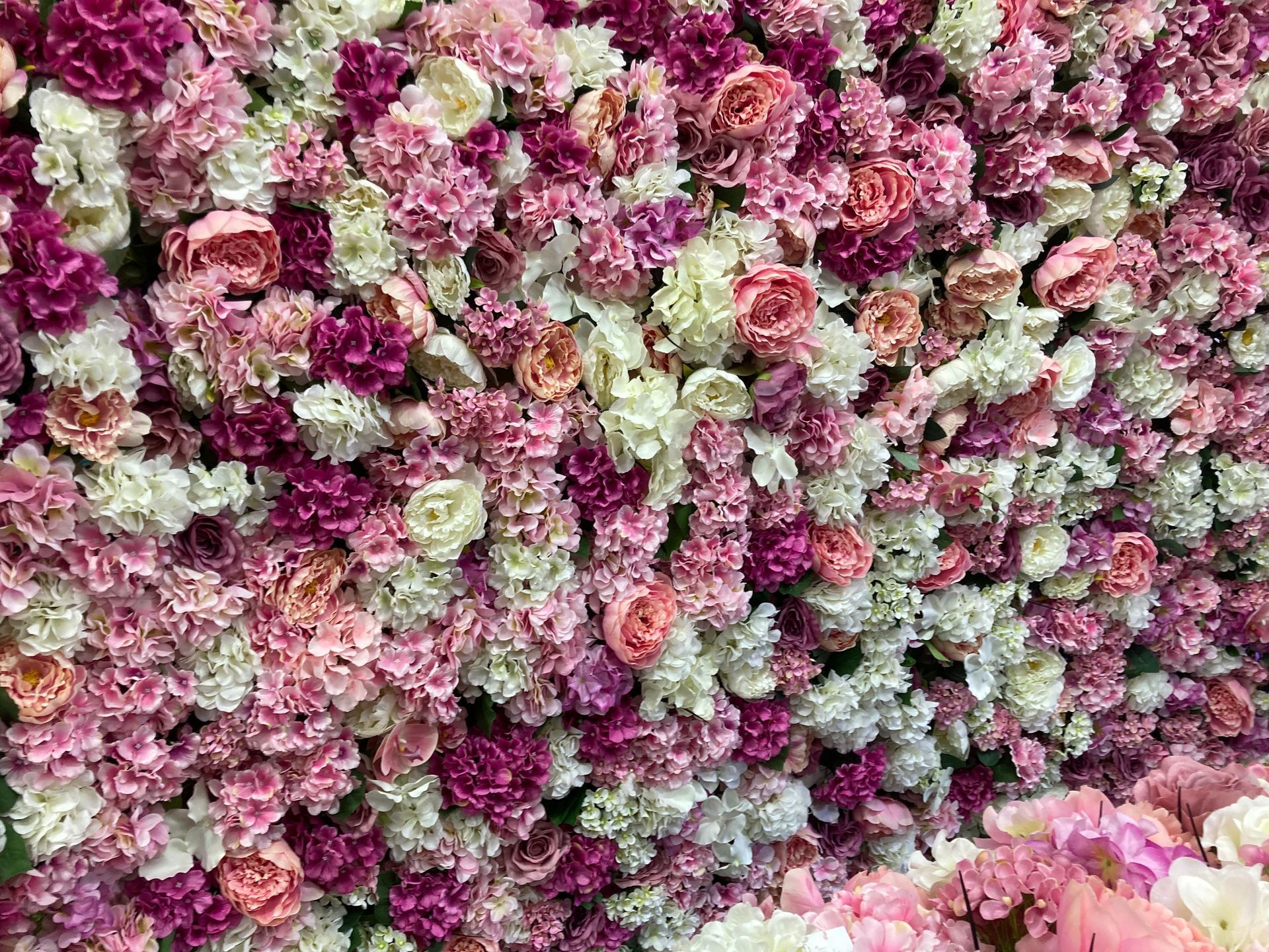 Parete vegetativa di rose artificiali