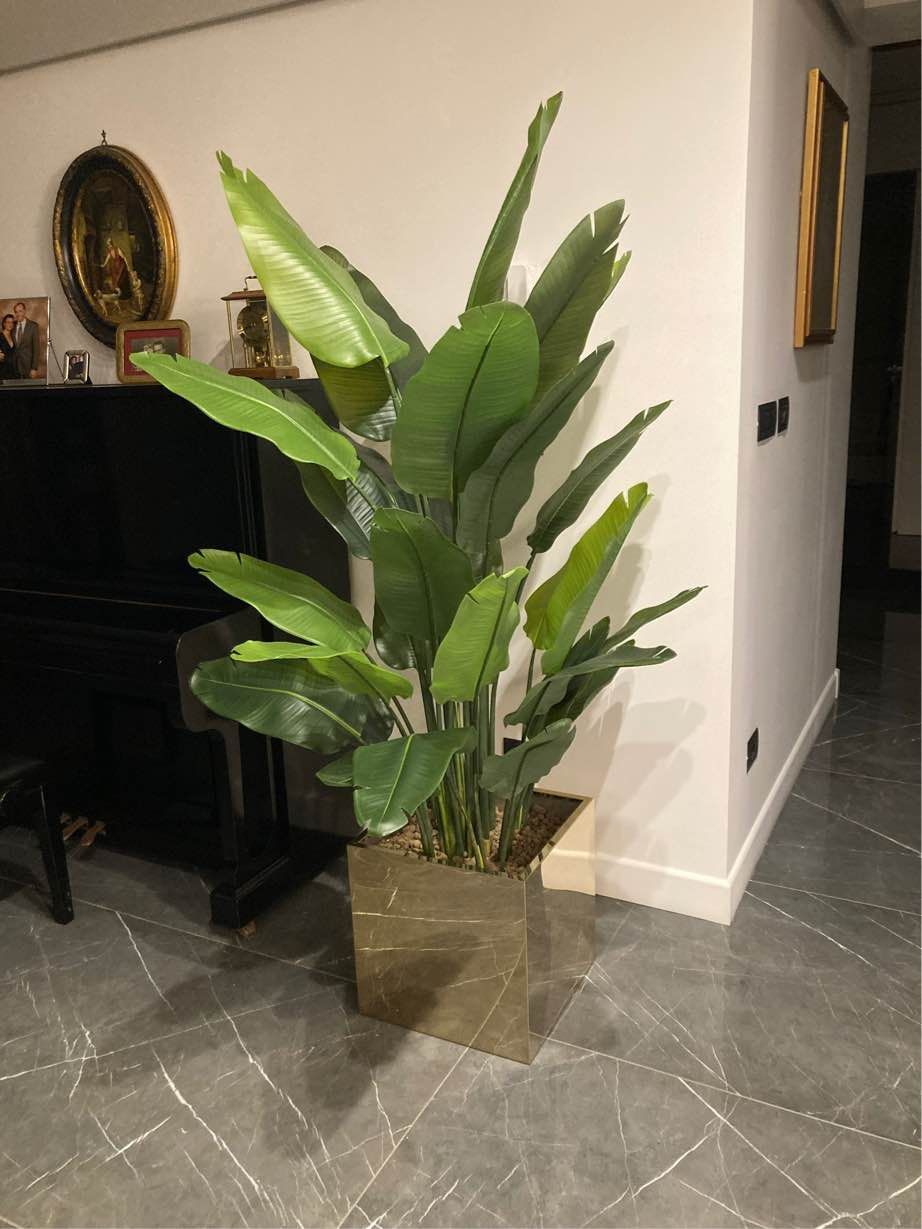 Piante artificiali da interno