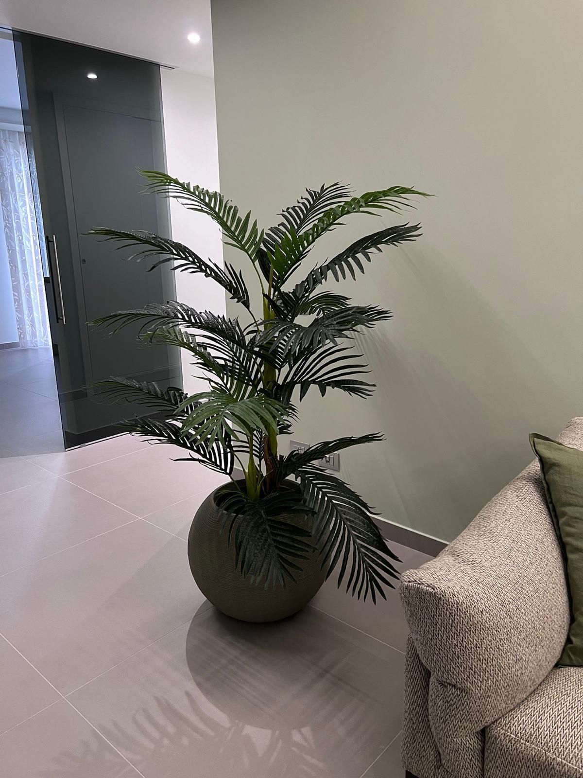 Palma da interno in vaso accanto a un divano beige in un corridoio moderno
