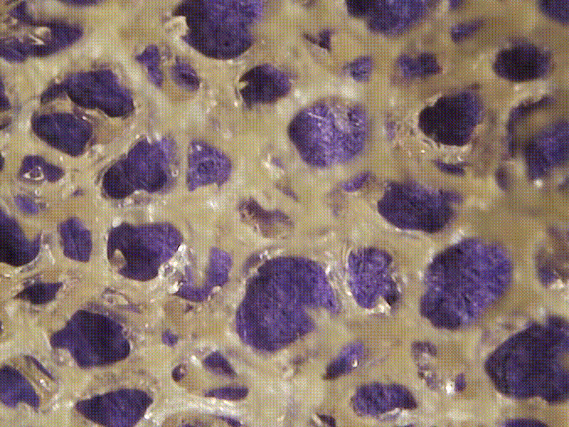 Wettable Silicone Foams