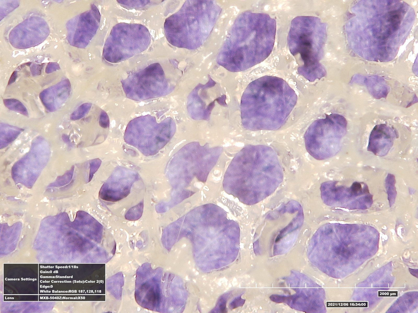 A microscope image of a purple and white surface