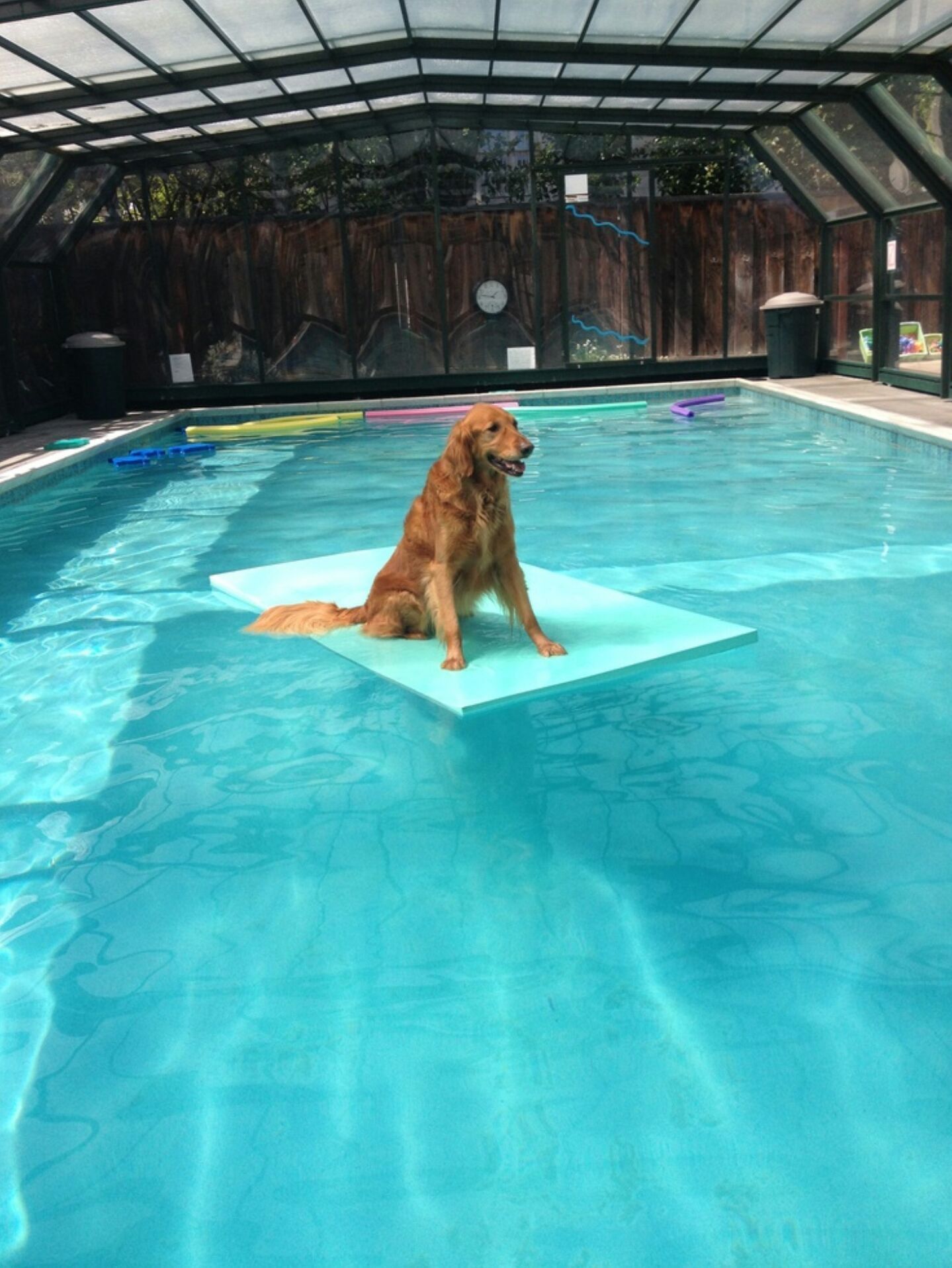 pool