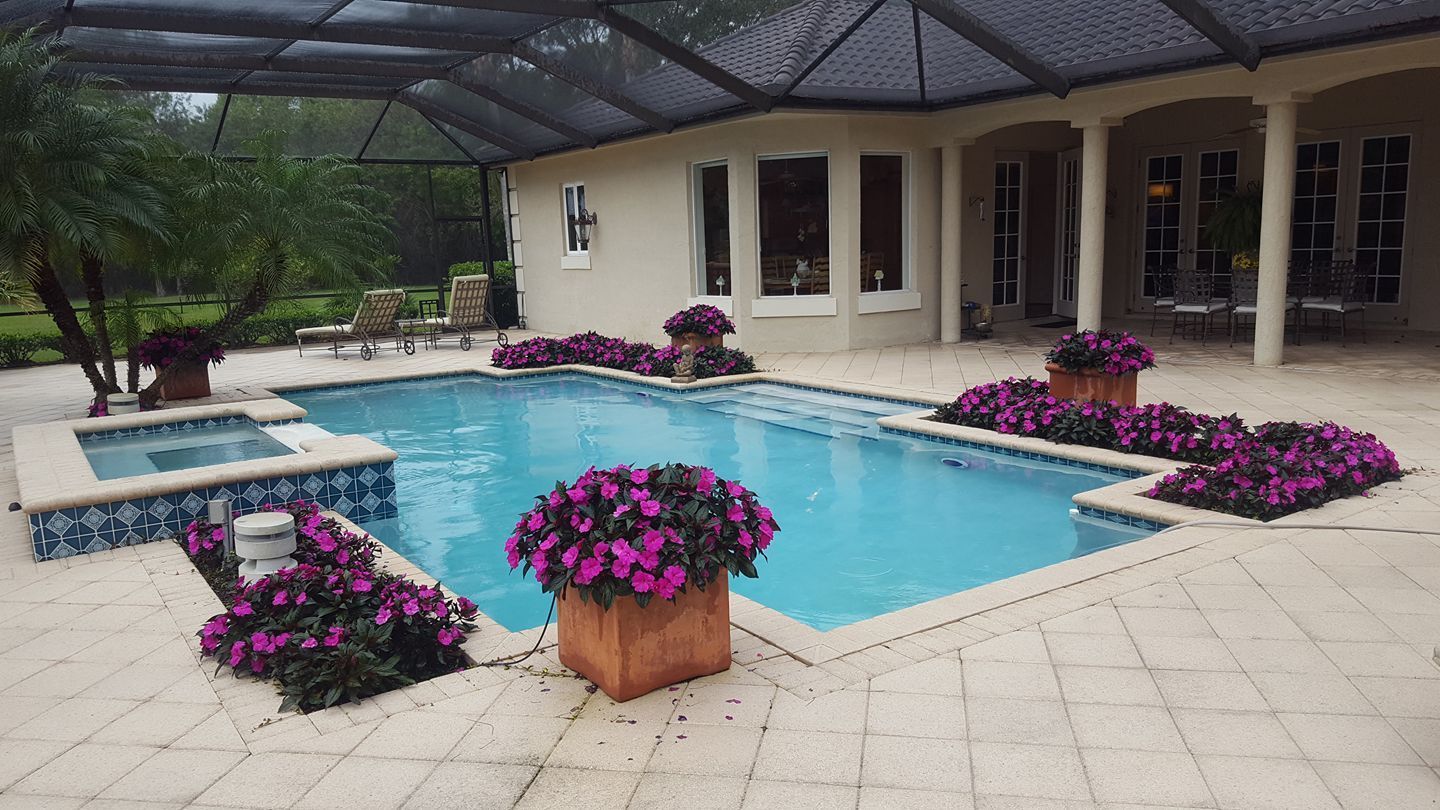 pool
