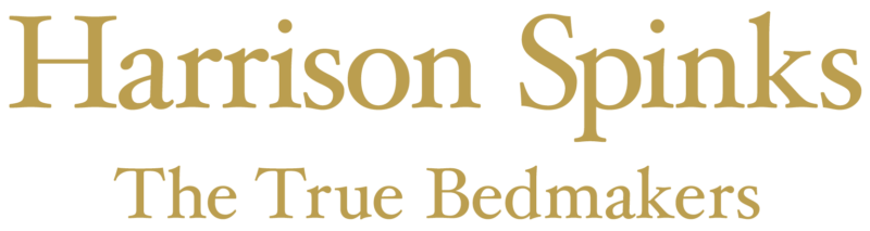 HS logo